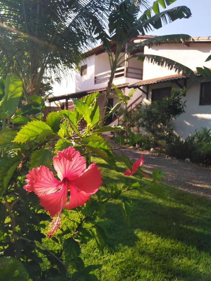 Tropicana Village São Miguel do Gostoso Dış mekan fotoğraf