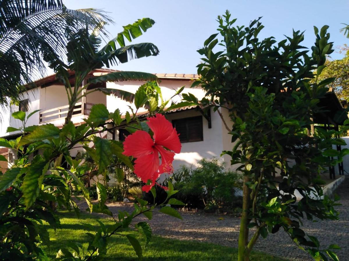 Tropicana Village São Miguel do Gostoso Dış mekan fotoğraf